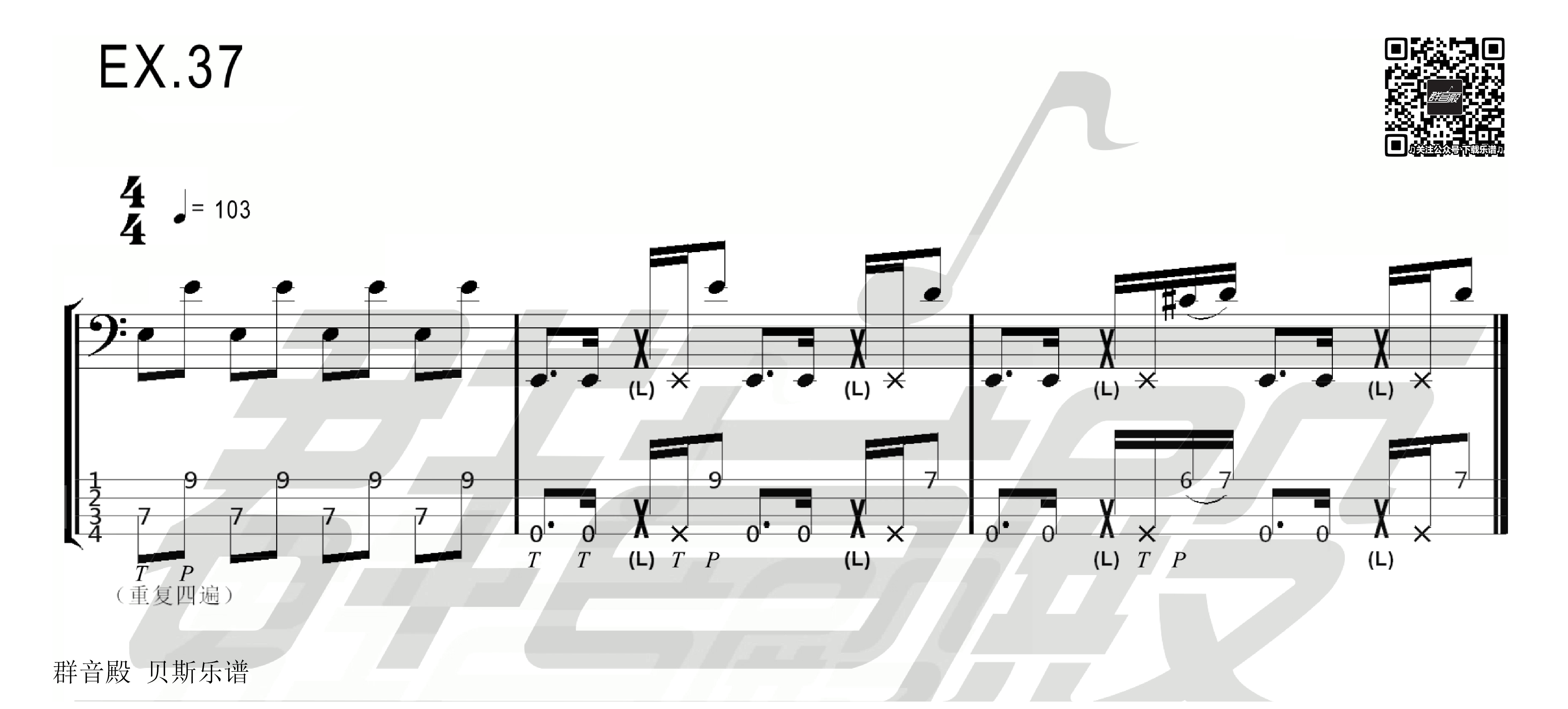  【贝斯】Alixes Bass Slap