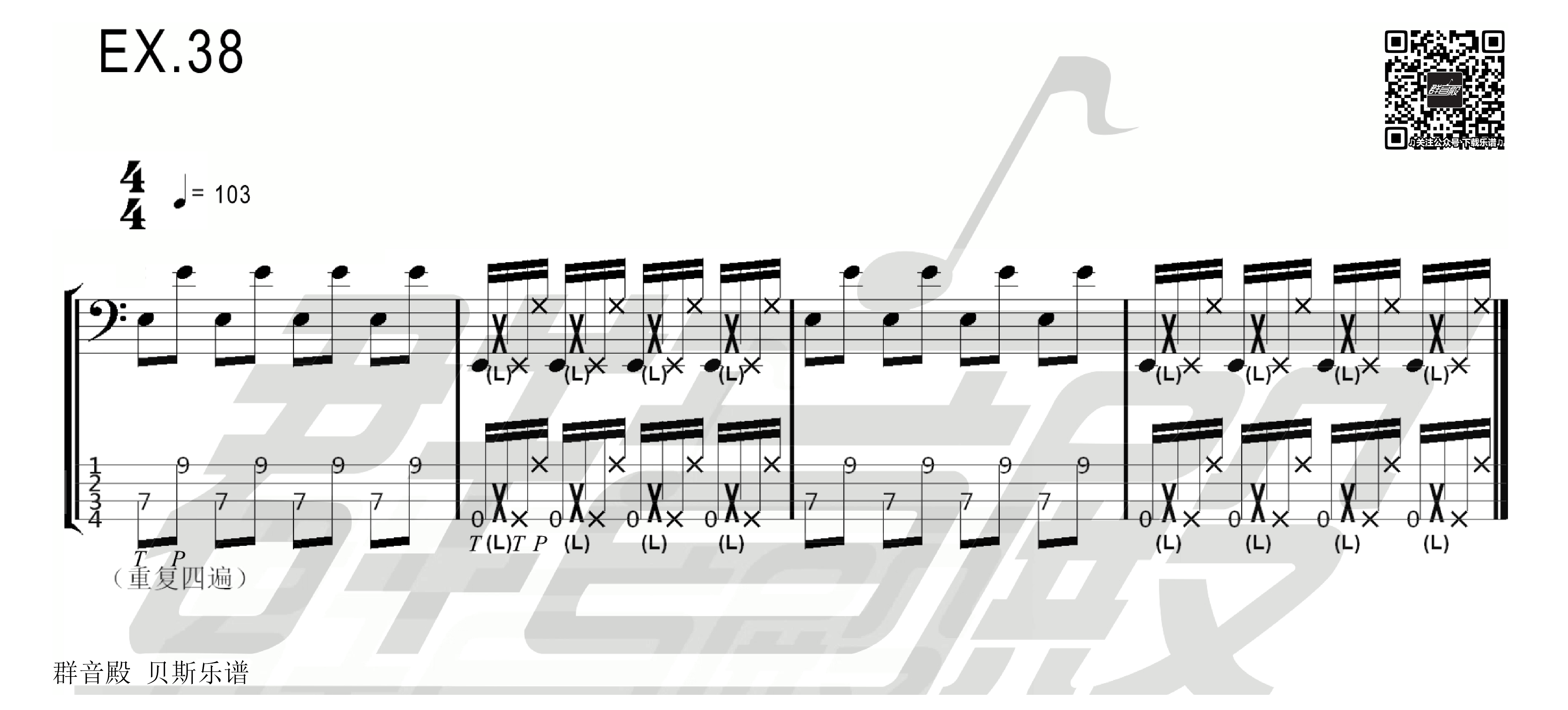  【贝斯】Alixes Bass Slap